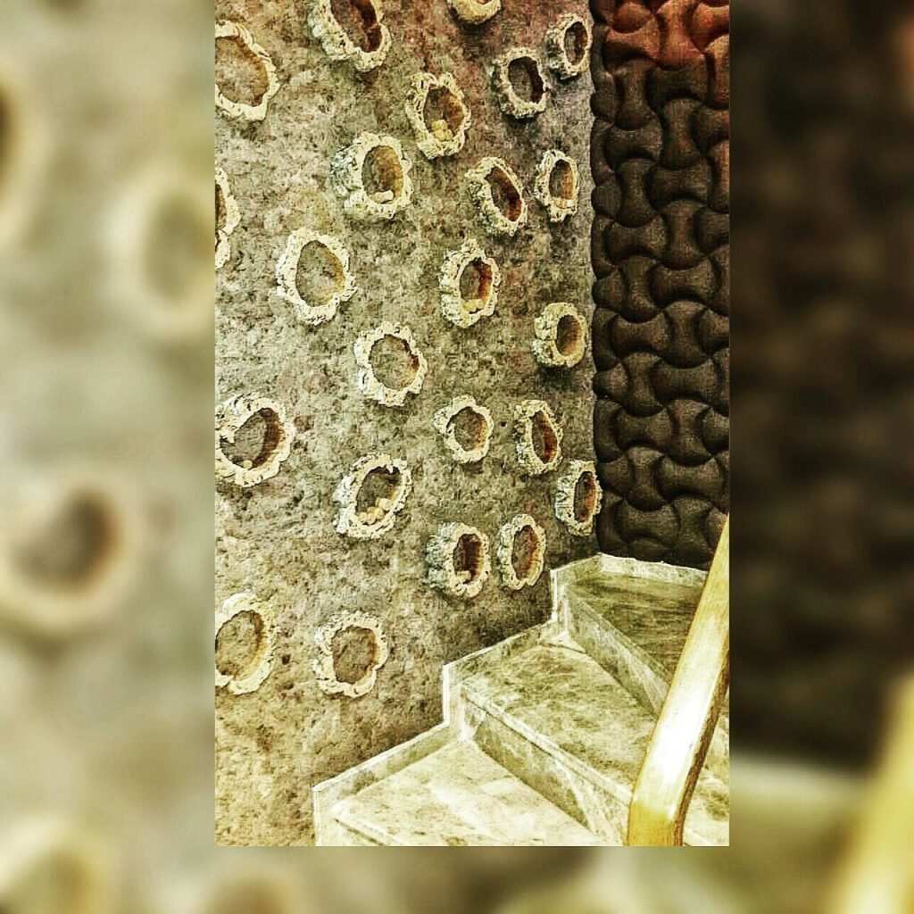 426338201_68384